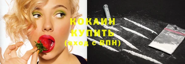spice Аркадак