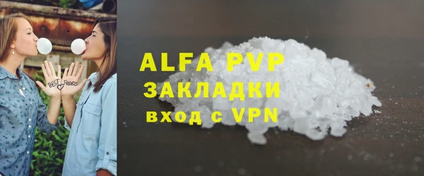 хмурый Няндома