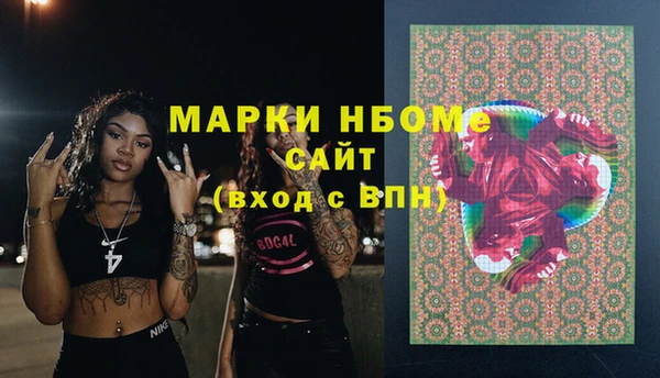 хмурый Няндома