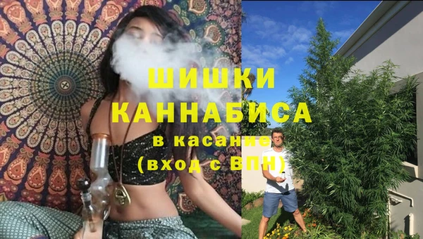 spice Аркадак